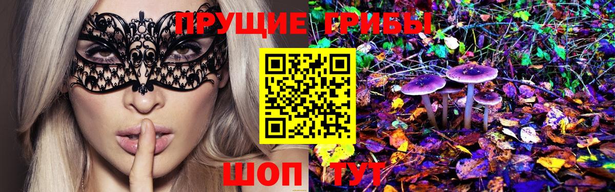 Галлюциногенные грибы MAGIC MUSHROOMS Санкт-Петербург