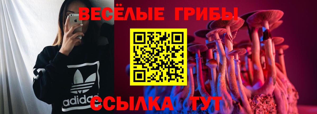 купить наркотики сайты  Вход с VPN  Санкт-Петербург  Галлюциногенные грибы мицелий 
