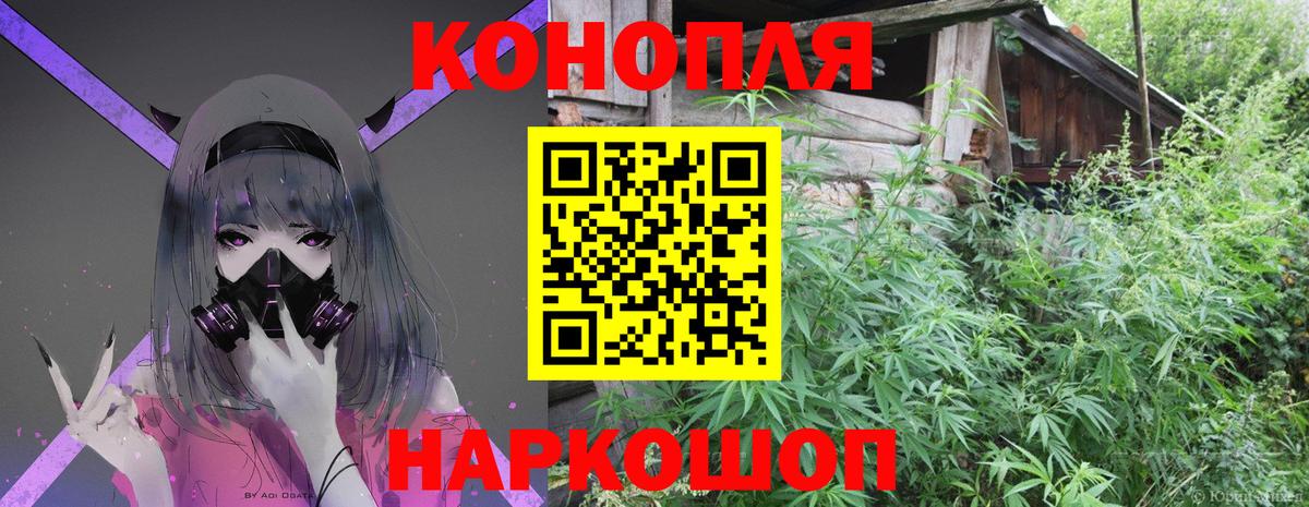 Санкт-Петербург  Бошки марихуана план  Бошки Шишки AK-47  МАРИХУАНА тримм  Вход с VPN 